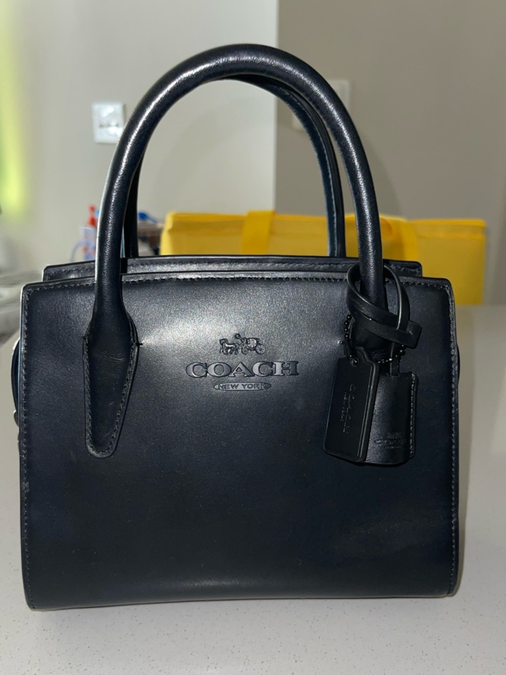 Coach Mini Andrea Carryall Bag